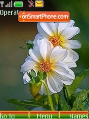 Flower morning tema screenshot