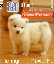 Cute Dog 05 tema screenshot