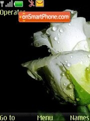 Rose tema screenshot