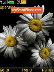 Flowers tema screenshot