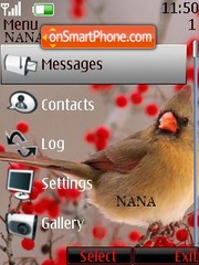 Скриншот темы Bird Red Clock