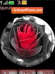 Скриншот темы Gothic style a rose