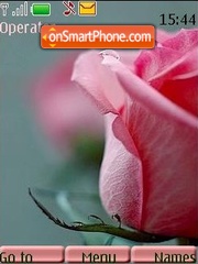 Pink roses tema screenshot