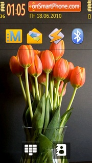 Colour Tulips tema screenshot