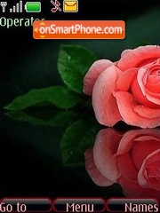 Roses theme screenshot