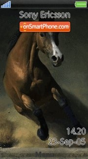 Horse 04 theme screenshot