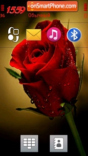 Water Drops Rose tema screenshot