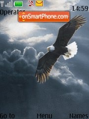 Bald Eagle 01 theme screenshot