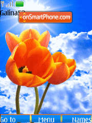 Solar tulips theme screenshot