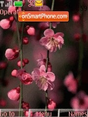 Скриншот темы Pink Flowers 04