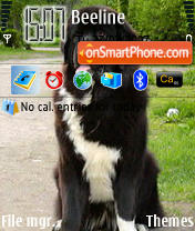 Скриншот темы Newfoundland Dog N3250