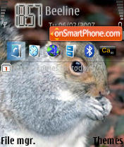 Capture d'écran Squirrel thème