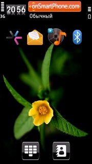 Nice Flower2 tema screenshot