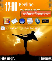 Kyokushin 73 theme screenshot