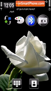 White rose by Shawan es el tema de pantalla