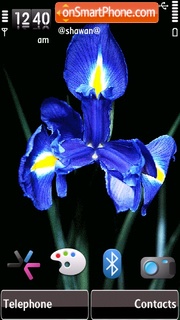 Blue flower by Shawan tema screenshot