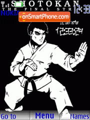 Shotokan karate tema screenshot