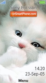 Cute White Kitty es el tema de pantalla