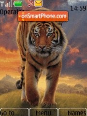 Скриншот темы Tiger 29