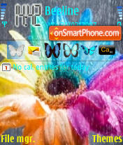 Rainbow Flower tema screenshot