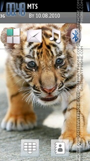 Little Tiger tema screenshot