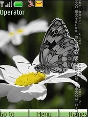 Butterfly tema screenshot