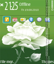 Flower q fp1 es el tema de pantalla