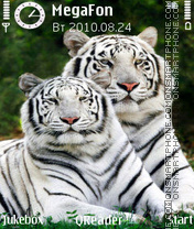 Скриншот темы White Tigers