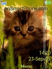 Kitten 08 theme screenshot