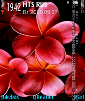 Flowers tema screenshot