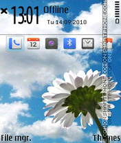 White Flower 04 tema screenshot