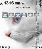 Capture d'écran The Cat thème