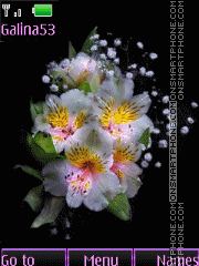 Скриншот темы Nice flowers anim