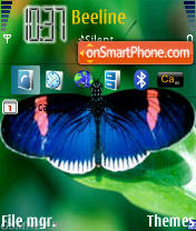 Baterfly Theme-Screenshot