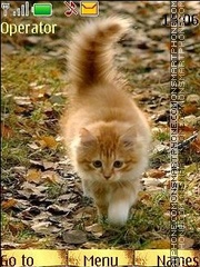 Скриншот темы Autumn kittens