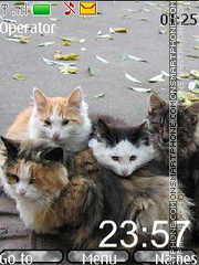 Скриншот темы Autumn cats