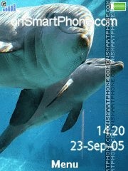 Скриншот темы Dolphins 08