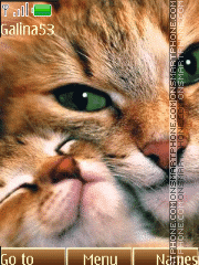 Capture d'écran Sleeping cat animation thème