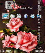 Pinkroses theme screenshot