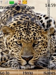 Leopard es el tema de pantalla