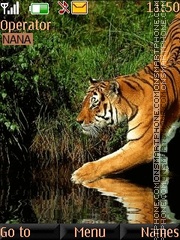 Tiger In Water theme screenshot