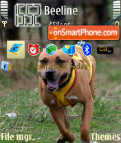 Pitbull theme screenshot