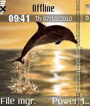 Dolphin theme screenshot