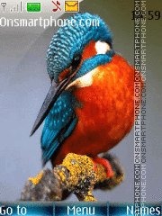 Скриншот темы Kingfisher