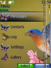 Blue Bird Clock tema screenshot