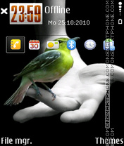 Bird 02 es el tema de pantalla