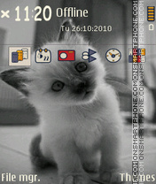 My kitten es el tema de pantalla