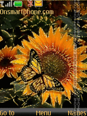 Скриншот темы Sunflower and butterfly