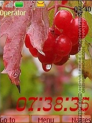 Скриншот темы Autumn berries