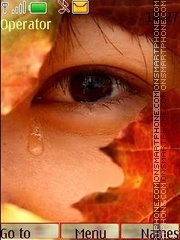 Capture d'écran Autumn tears thème